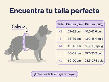 Pañal Lavable para Perros