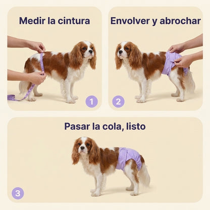 Pañal Lavable para Perros