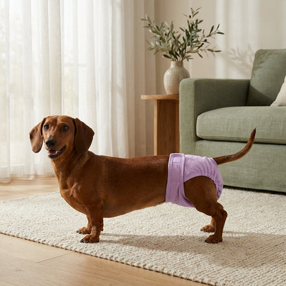 Pañal Lavable para Perros